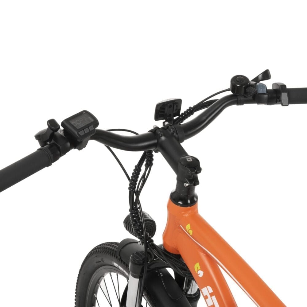 Hampton Bike HM2