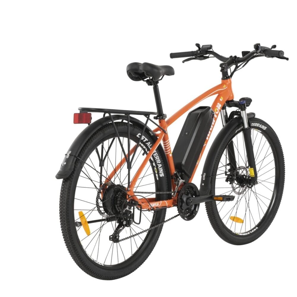 Hampton Bike HM2