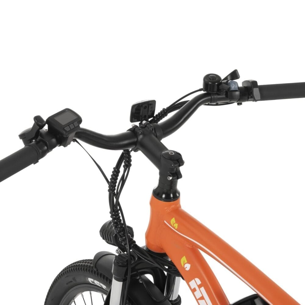 Hampton Bike HM2